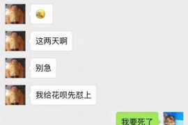 琼海为什么选择专业追讨公司来处理您的债务纠纷？